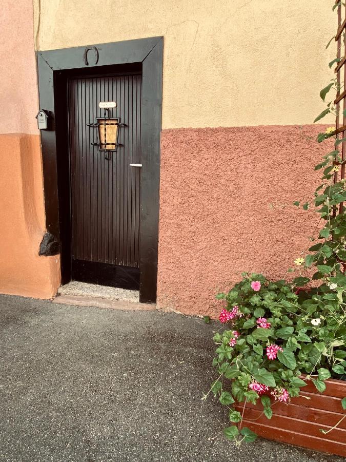 ✧ La Suite ✧ Studio De Charme Route Des Vins 坎特赞 外观 照片